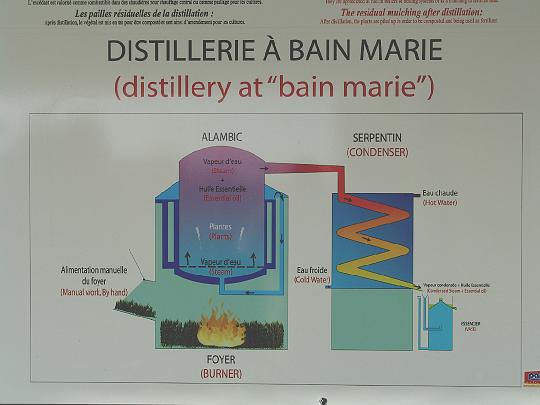 12distill diag.jpg